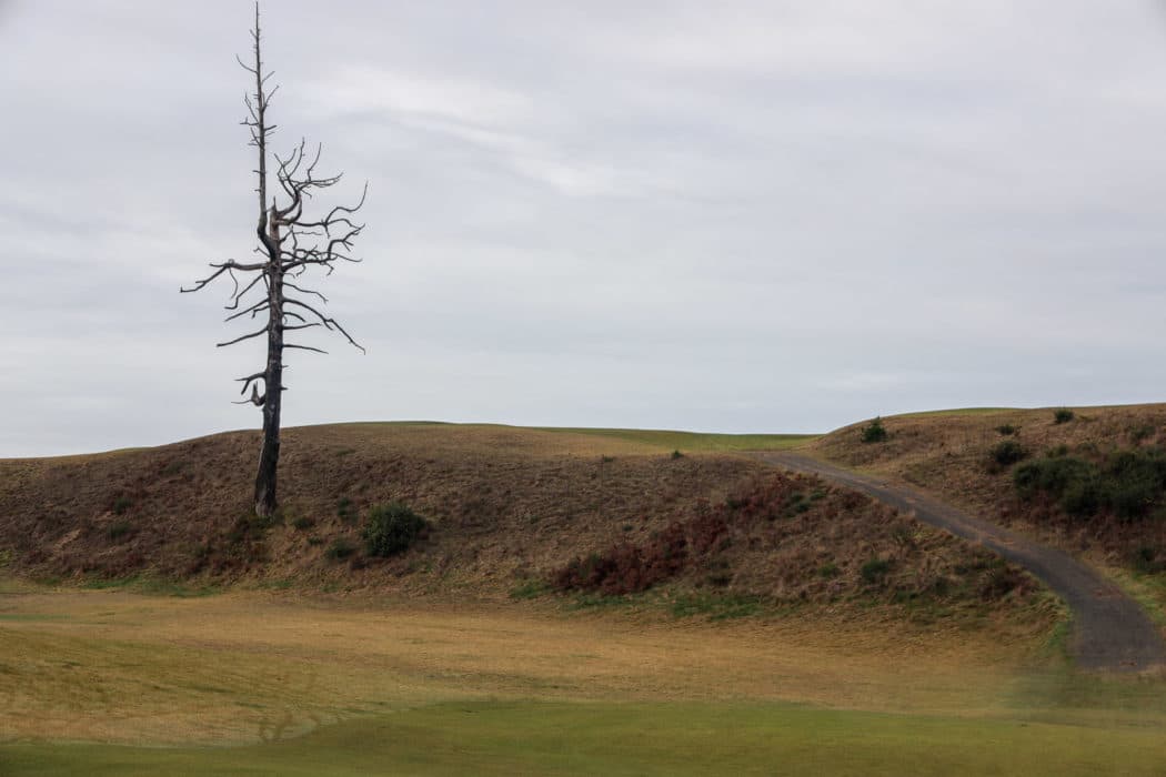 Bandon Dunes photo 2